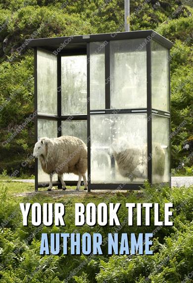 Bus shelter with sheep
